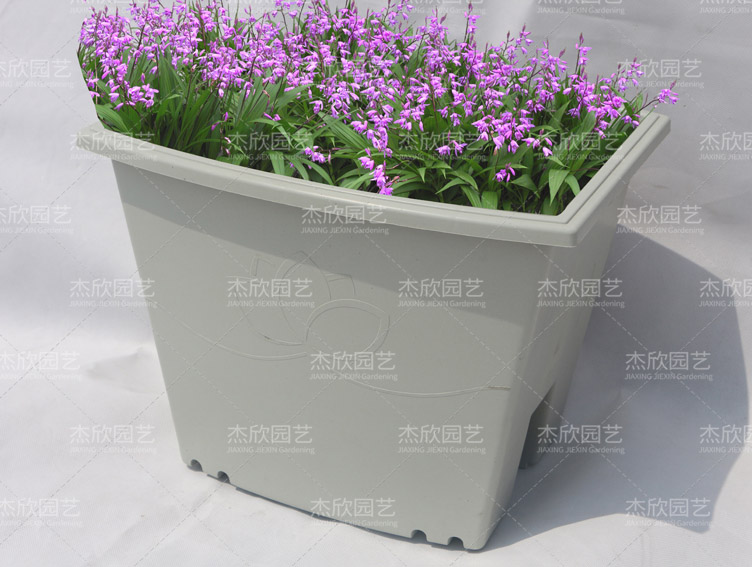 定制PP花盆懸挂花盆